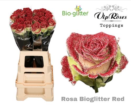 Rosa grootbloemig kleurbehandeld H%