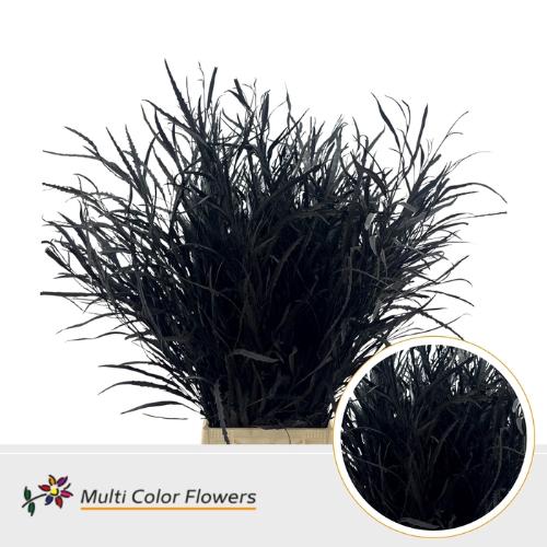 Decoratiegroen kleurbehandeld per bos H%