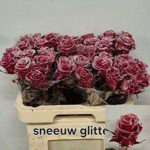 Rosa grootbloemig gewaxt H%