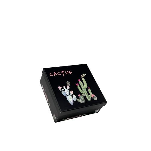 Box čierny štvorec kaktus 1/3