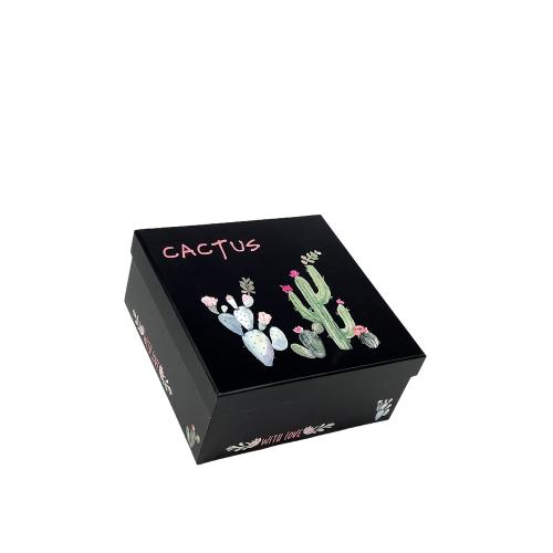 Box čierny štvorec kaktus 2/3