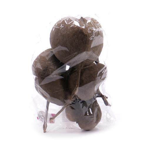 Budha nut natur bal.