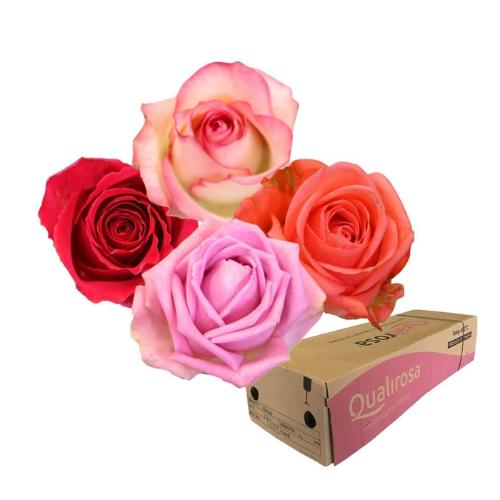 Rosa grootbloemig gemengd in bos