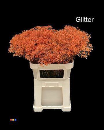 Gypsophila overig kleurbehandeld H%