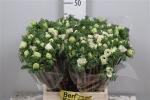 c142cbc1-5bb3-4b30-91a0-9f70d32cdbdf.jpg