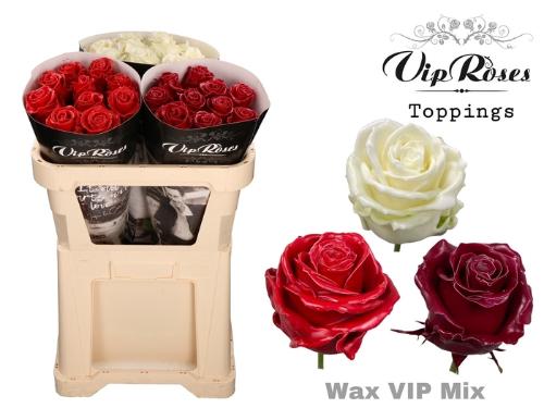 Rosa grootbloemig gewaxt H%