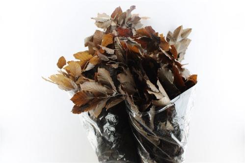 Decoratiegroen kleurbehandeld per bos H%