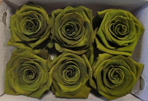 Rosa grootbloemig kleurbehandeld H%