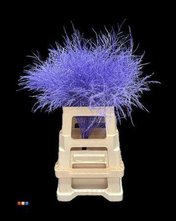 Decoratiegroen kleurbehandeld per bos H%