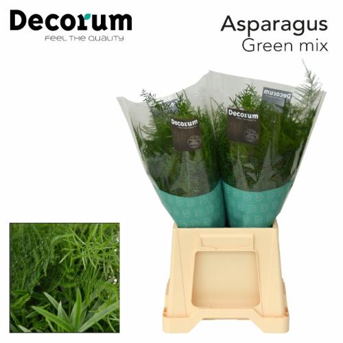 Asparagus gemengd in bos