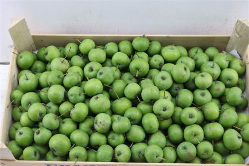 Siervruchten per bak Malus overig
