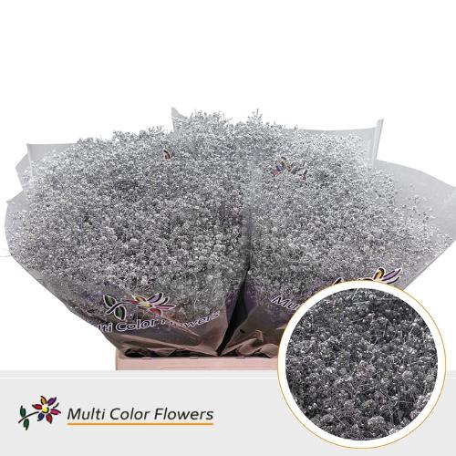 Gypsophila overig kleurbehandeld H%