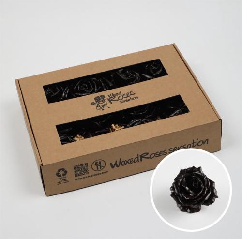 Rosa grootbloemig gewaxt H%