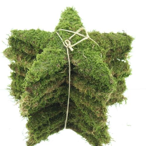 Huis en tuindecoratie overig H%