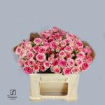 c54beca2-3daa-44e9-a979-4ab8b95fb43e.jpg
