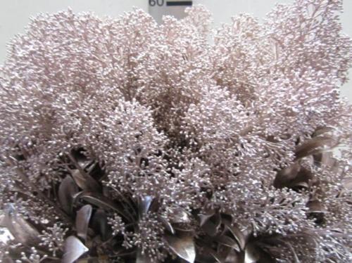 Skimmia per bos overig kleurbehandeld H%