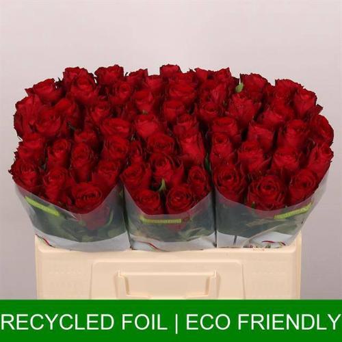 Rosa grootbloemig Madam Red