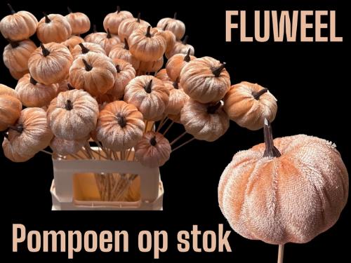 Huis en tuindecoratie overig H%