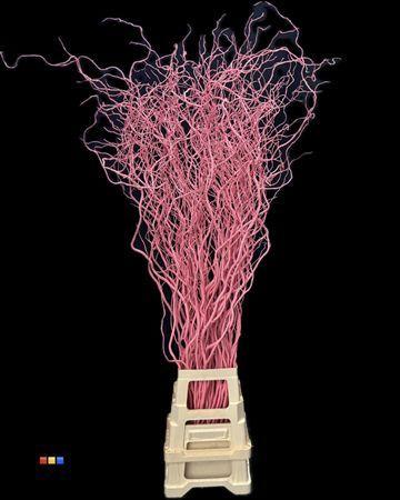 Salix kleurbehandeld H%