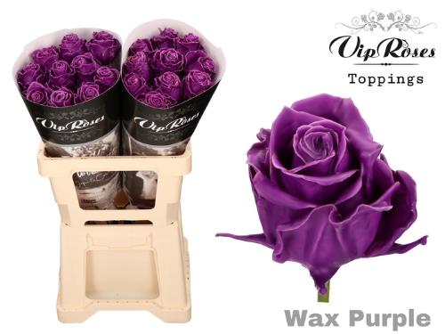 Rosa grootbloemig gewaxt H%