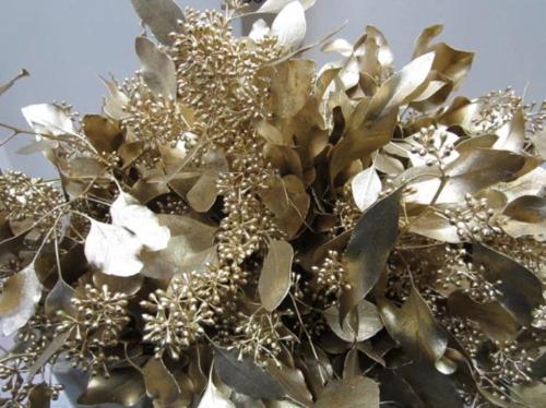 Eucalyptus kleurbehandeld per bos H%