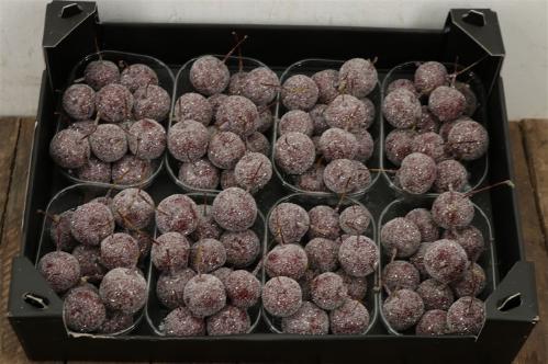 Wax appel H%