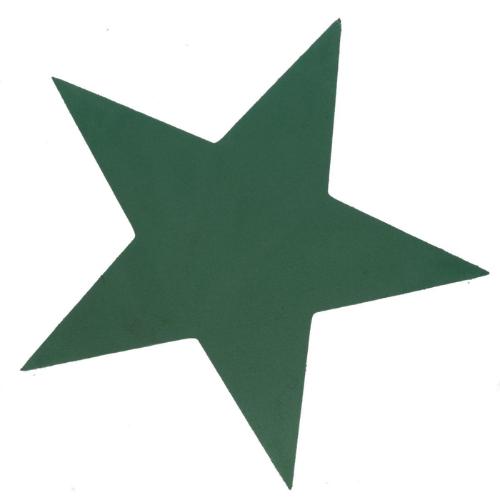 Oasis Star 5 point 23*22&quot;