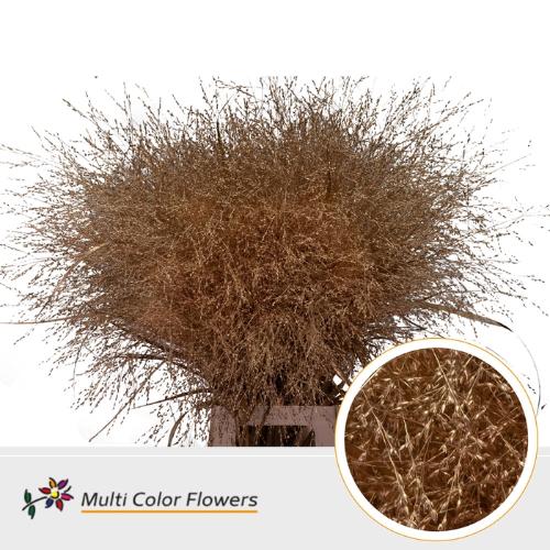 Siergras kleurbehandeld H%