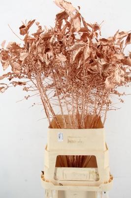 Decoratiegroen kleurbehandeld H%