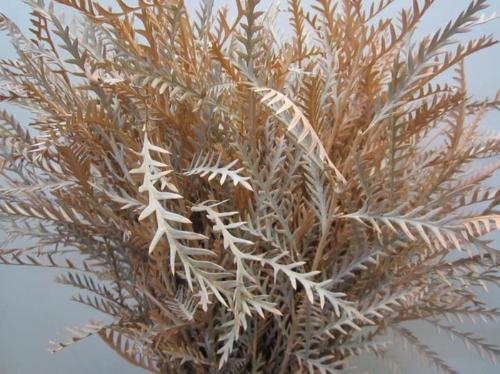 Decoratiegroen kleurbehandeld H%