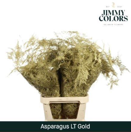 Asparagus overig kleurbehandeld H%