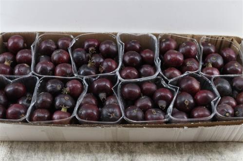 Siervruchten per stuk Punica granatum