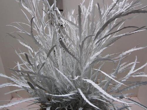 Decoratiegroen kleurbehandeld H%
