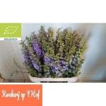 c91fd4bd-f043-4c05-bd78-399615b157b9.jpg