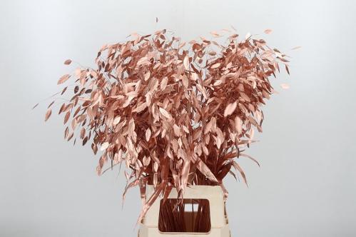 Siergras kleurbehandeld H%