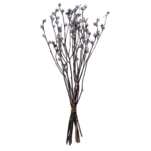 Vetva plod eucalyptu trvácna 60cm balenie