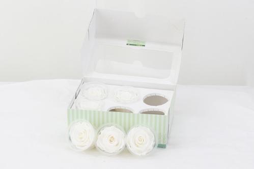 Rosa grootbloemig kleurbehandeld H%