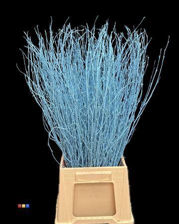 Betula per bos kleurbehandeld