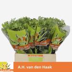 cad23116-9572-48ee-b684-2a10c1eb4db5.jpg