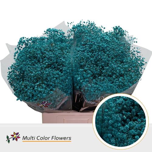 Gypsophila overig kleurbehandeld H%