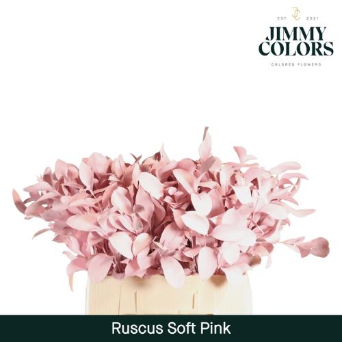Ruscus kleurbehandeld H%