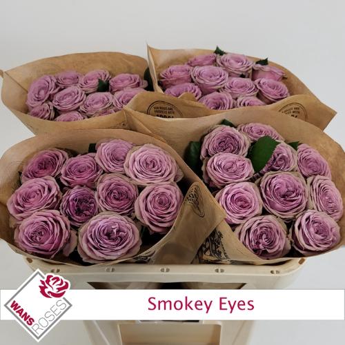 Rosa grootbloemig Smokey Eyes