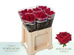 cb4d2d94-1138-4676-bc29-d4caec68cad9.jpg