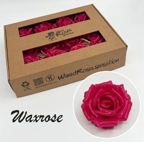 Rosa grootbloemig gewaxt H%
