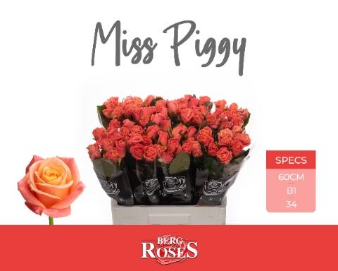 Rosa grootbloemig Miss Piggy+