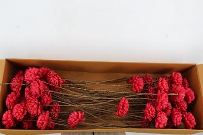 Huis en tuindecoratie overig H%