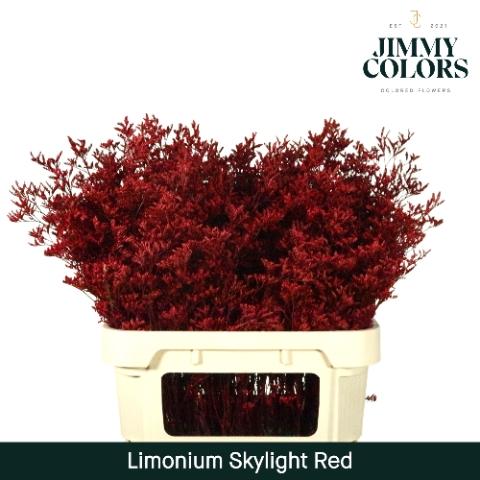 Limonium overig kleurbehandeld H%