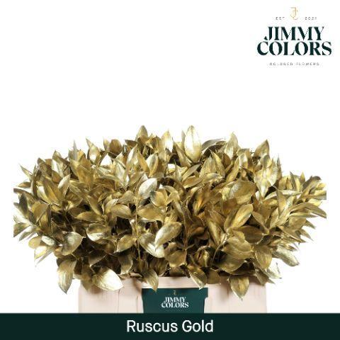 Ruscus kleurbehandeld H%