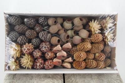 Huis en tuindecoratie overig H%