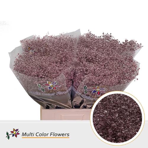 Gypsophila overig kleurbehandeld H%